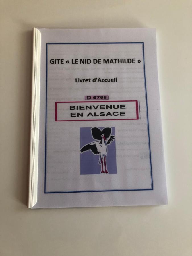 شقة كولمار  في Le Nid De Mathilde- 3 Etoiles المظهر الخارجي الصورة